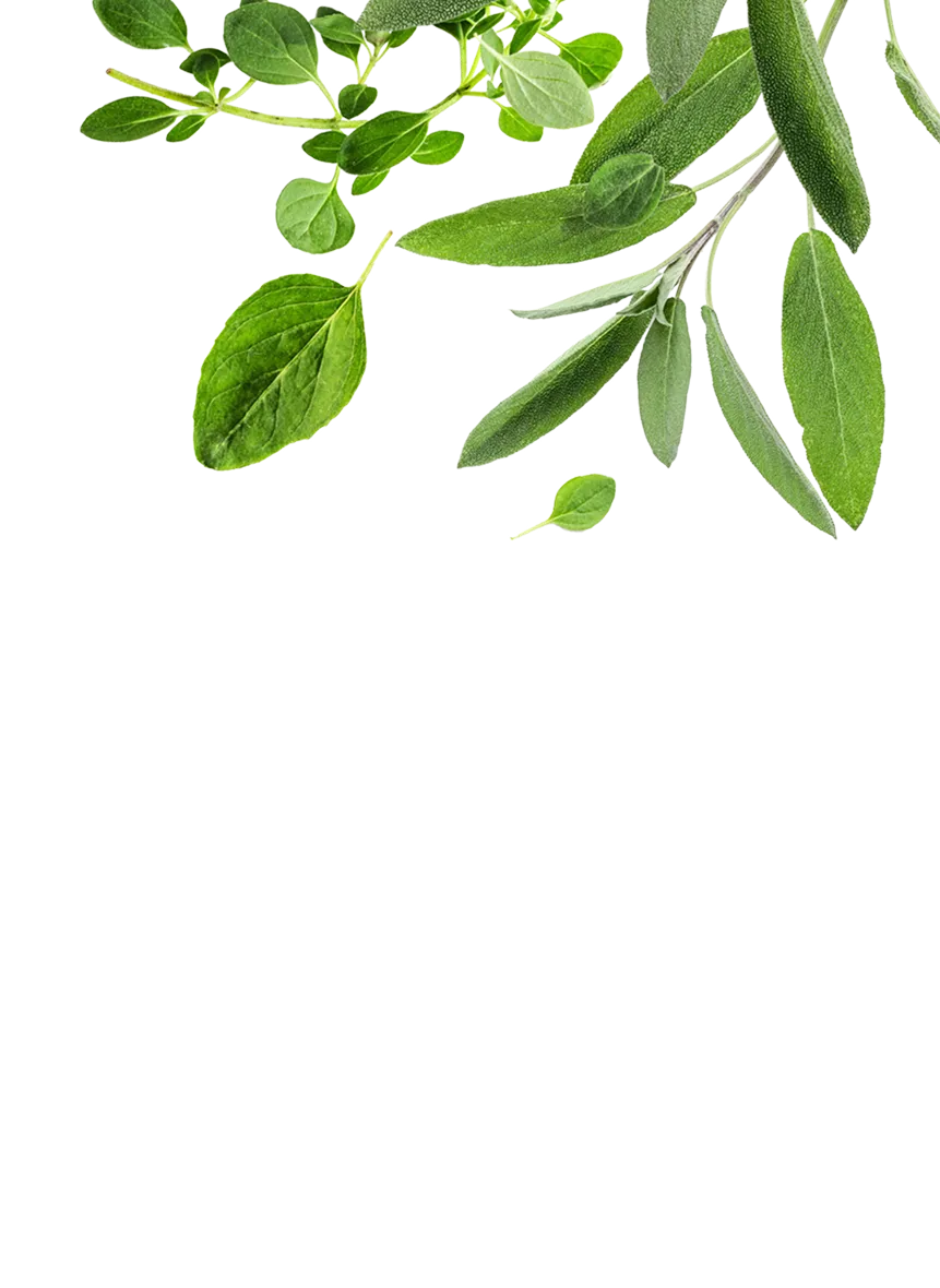 The Colonel’s Patch microgreens