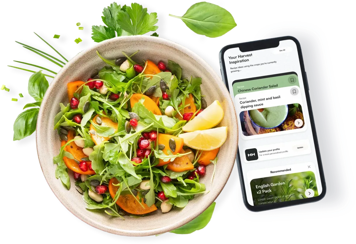 Tasty meals from your harvest